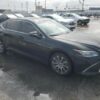 LEXUS ES 300 H 2019 5N1AT2MV6HC786793