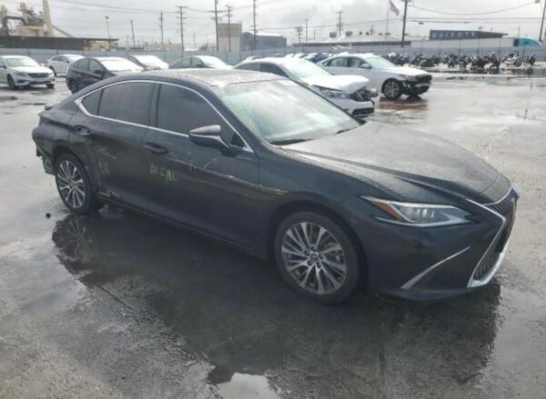 LEXUS ES 300 H 2019 5N1AT2MV6HC786793